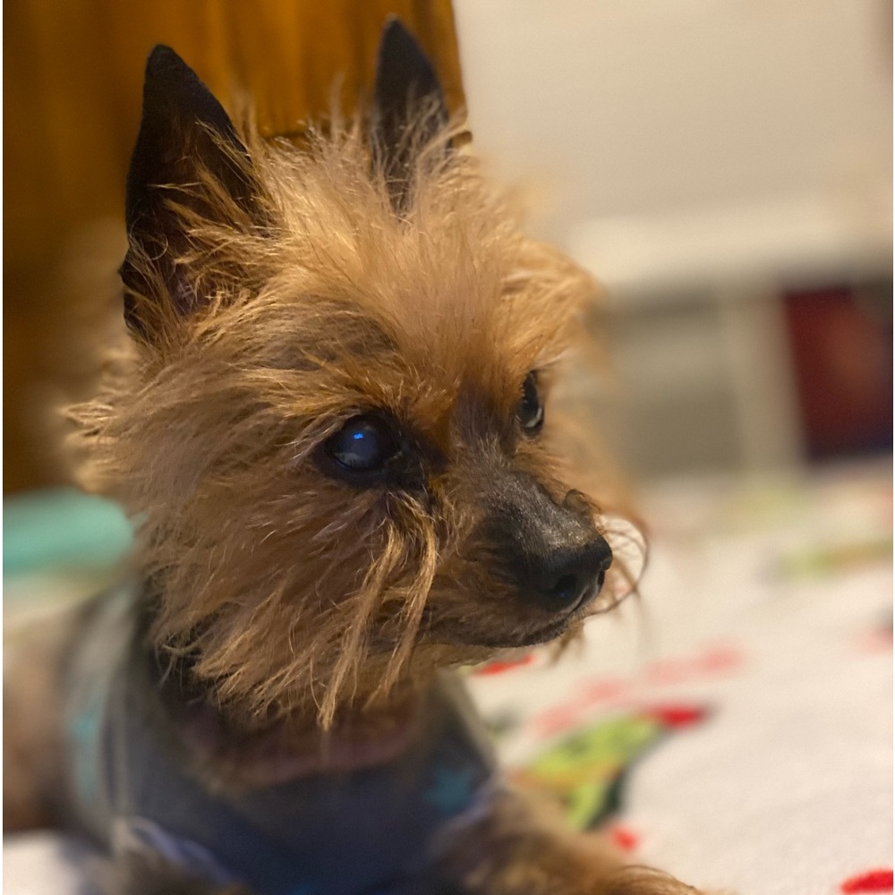 Meet your Posher, Sonya